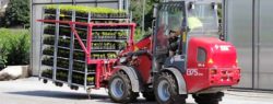 Pflanzen Großhandel - Vorbereitung von Pflanzen zur Verpackung und Lieferung