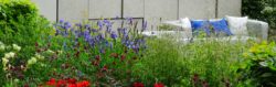 Beispiel einer Gartengestaltung mit Blumenstauden im Gartencenter Mayer in Salzburg